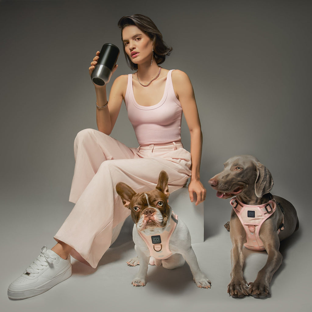 SoHo Step-In Dog Harness — Sweetheart