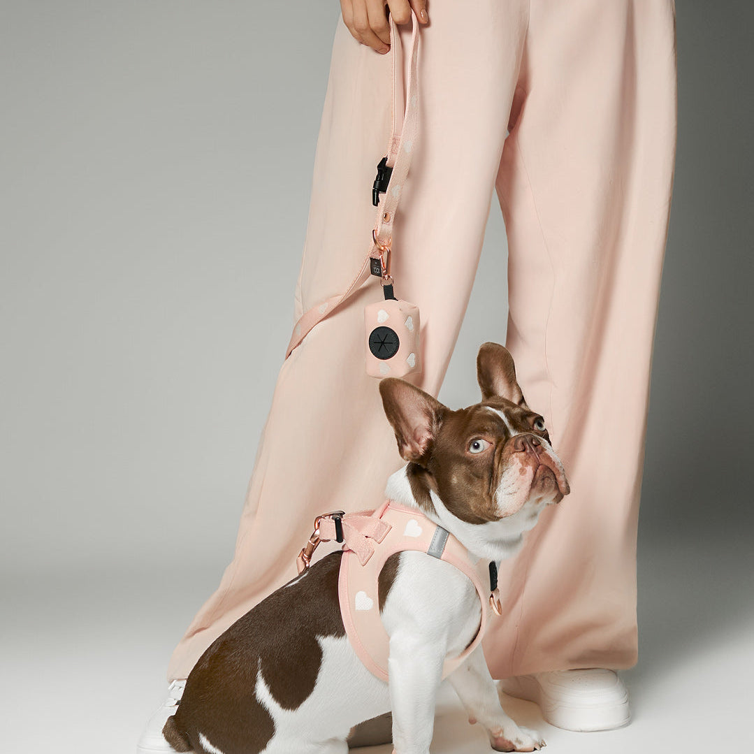 Dogistry 3-in-1 City Dog Leash — Sweetheart