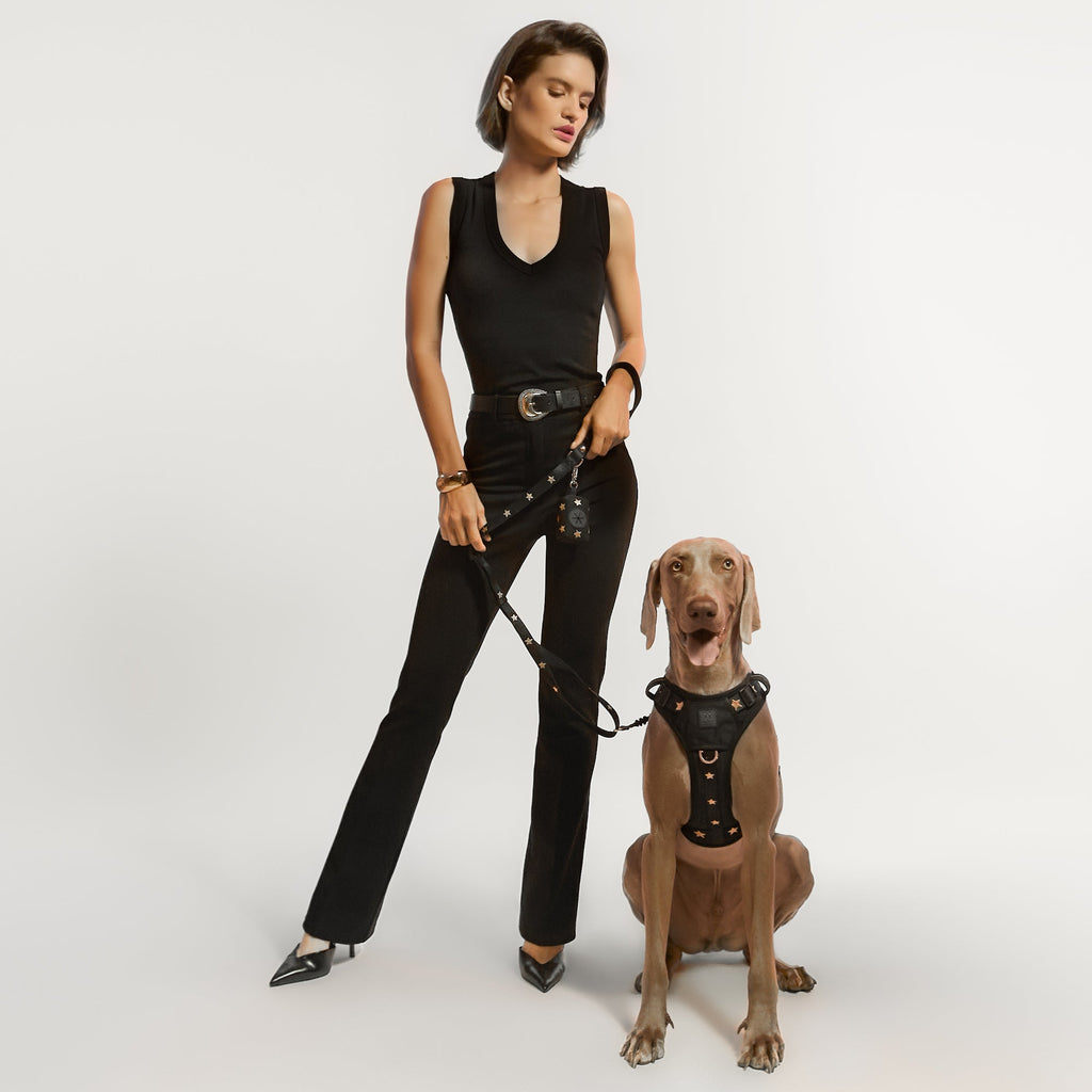 Dogistry NoMad Adjustable Luxe Harness — Rockstar