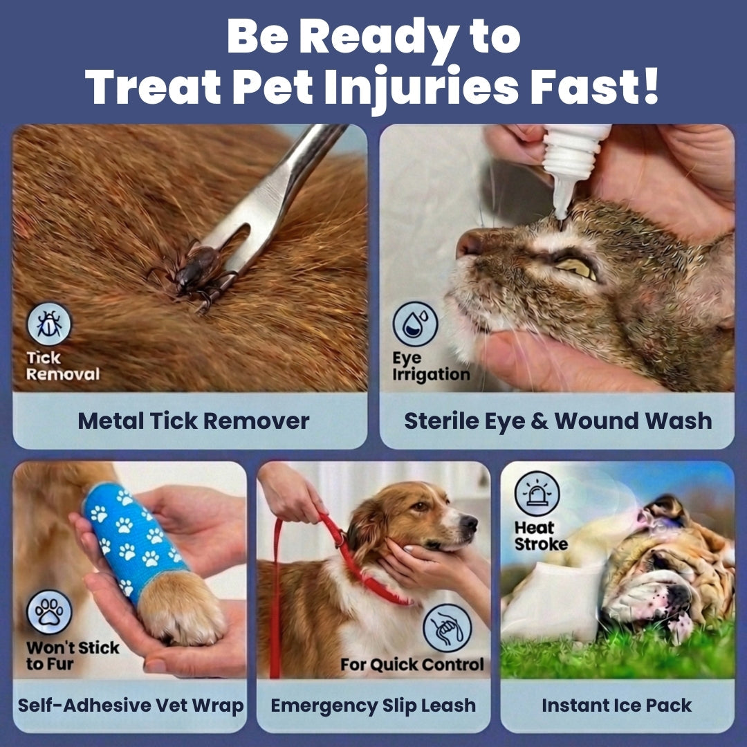 The Flauntly Paws First Aid Kit — Vet-Approved Emergency Kit for Dogs & Cats