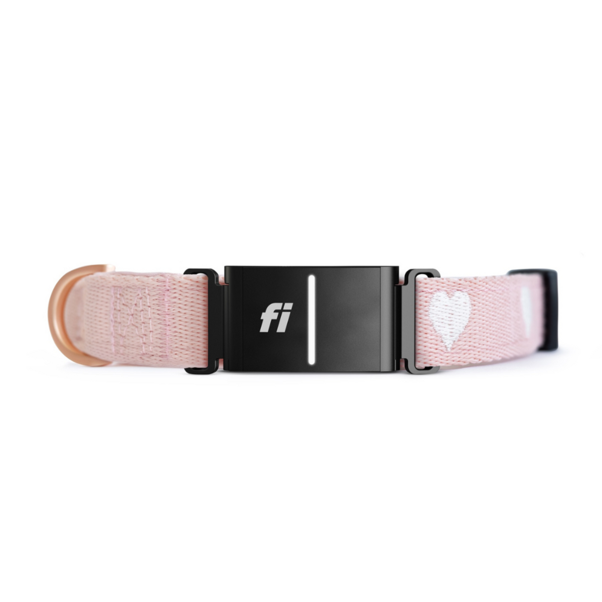 Dogistry × Fi Sweetheart 3+ Collar Band