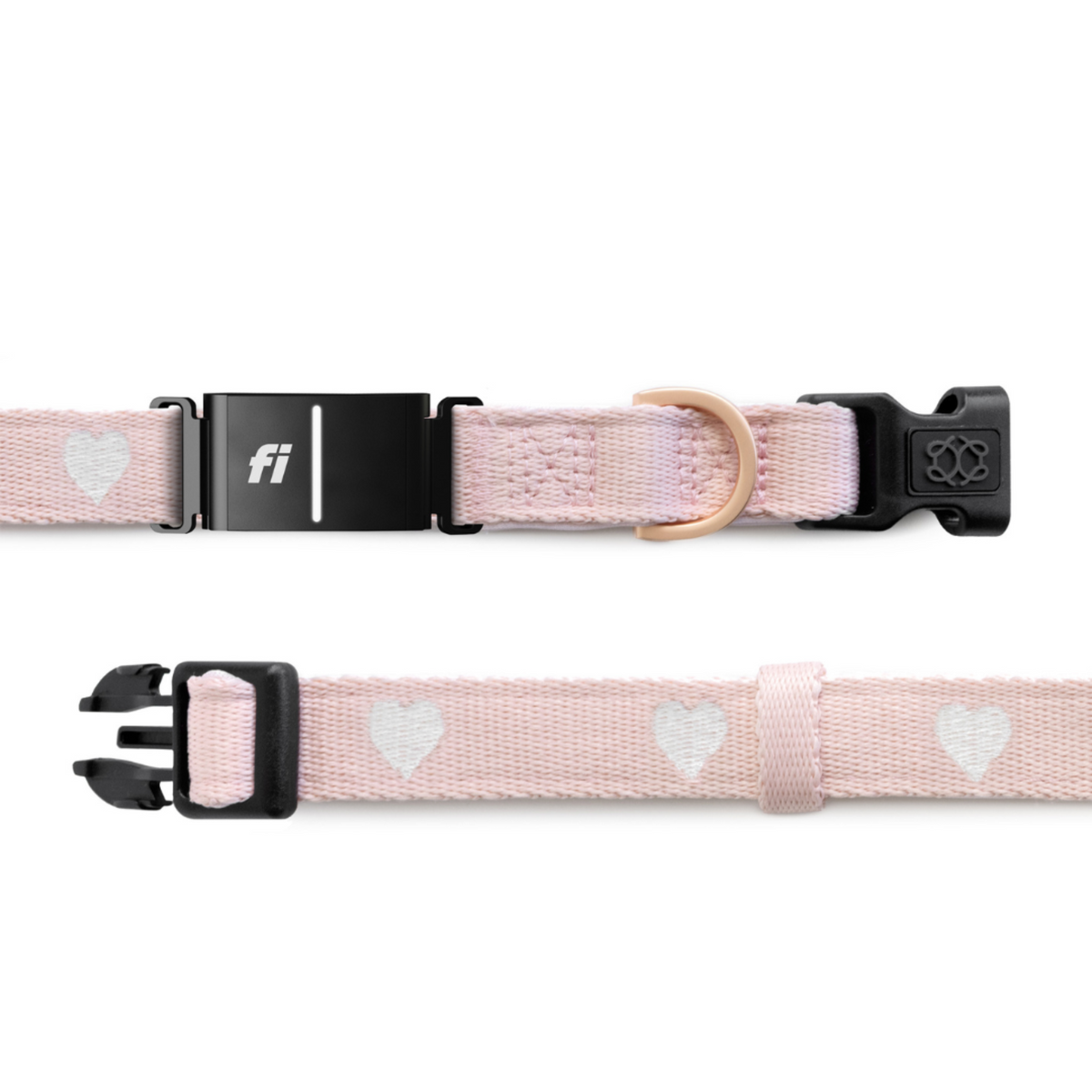 Dogistry × Fi Sweetheart 3+ Collar Band