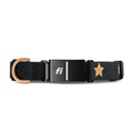 Dogistry × Fi Rockstar 3+ Collar Band