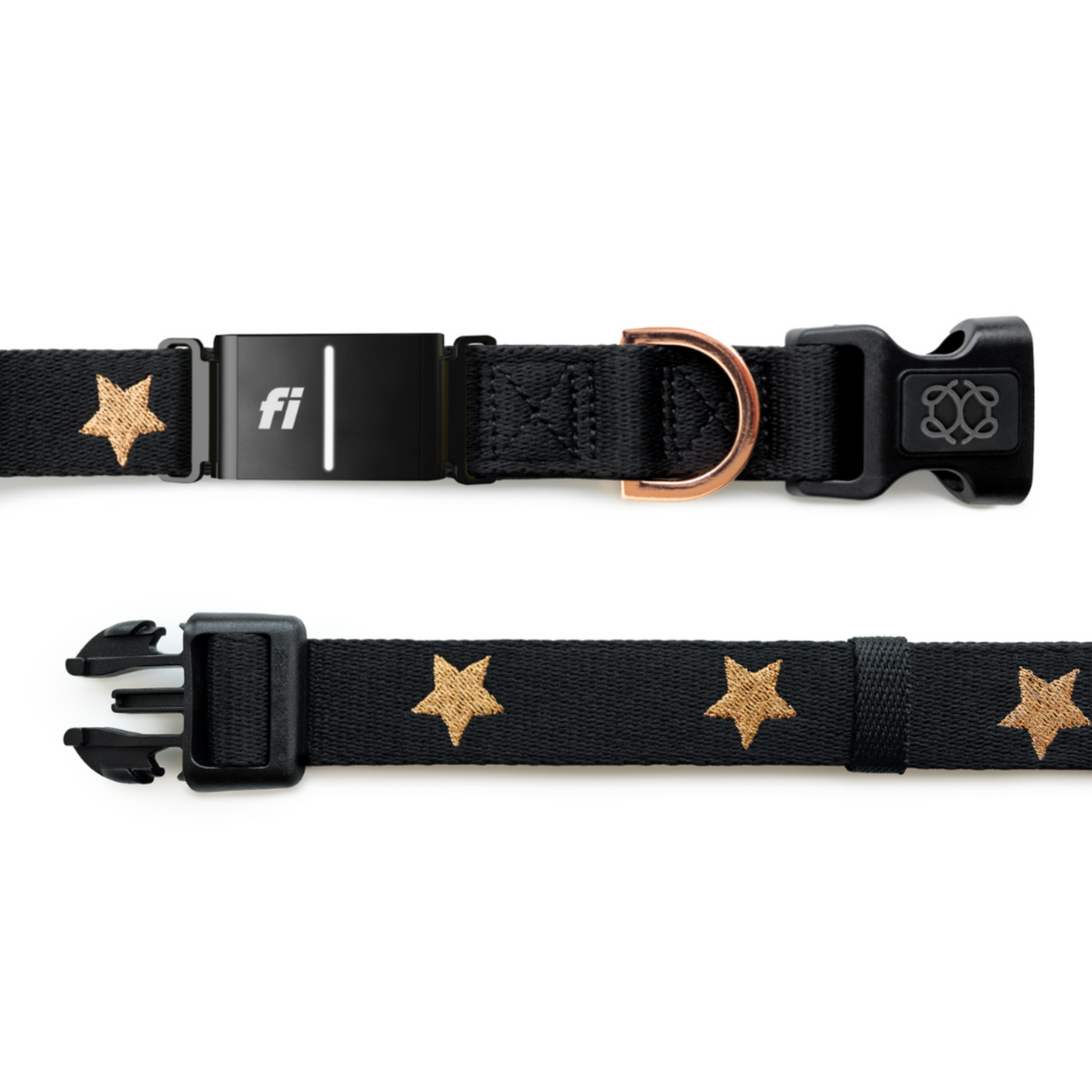 Dogistry × Fi Rockstar 3+ Collar Band