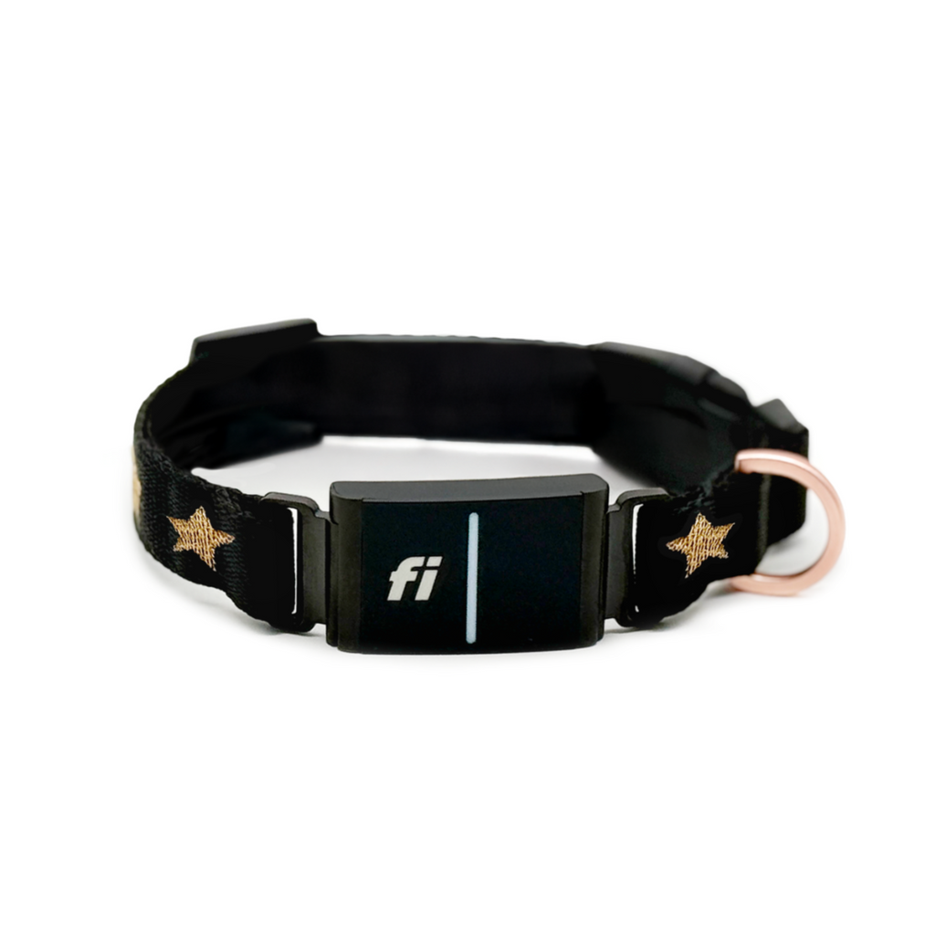 Dogistry × Fi Rockstar 3+ Collar Band