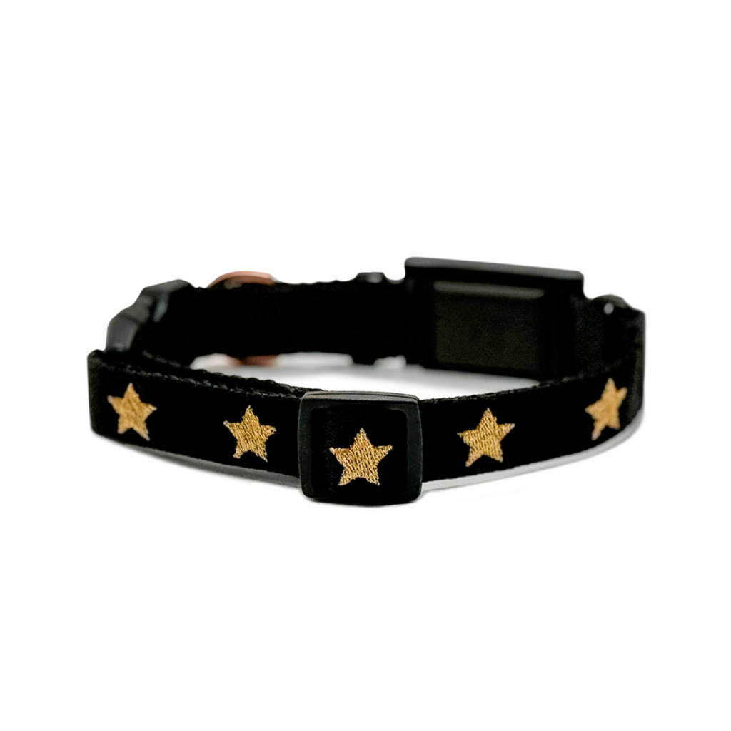 Dogistry × Fi Rockstar 3+ Collar Band
