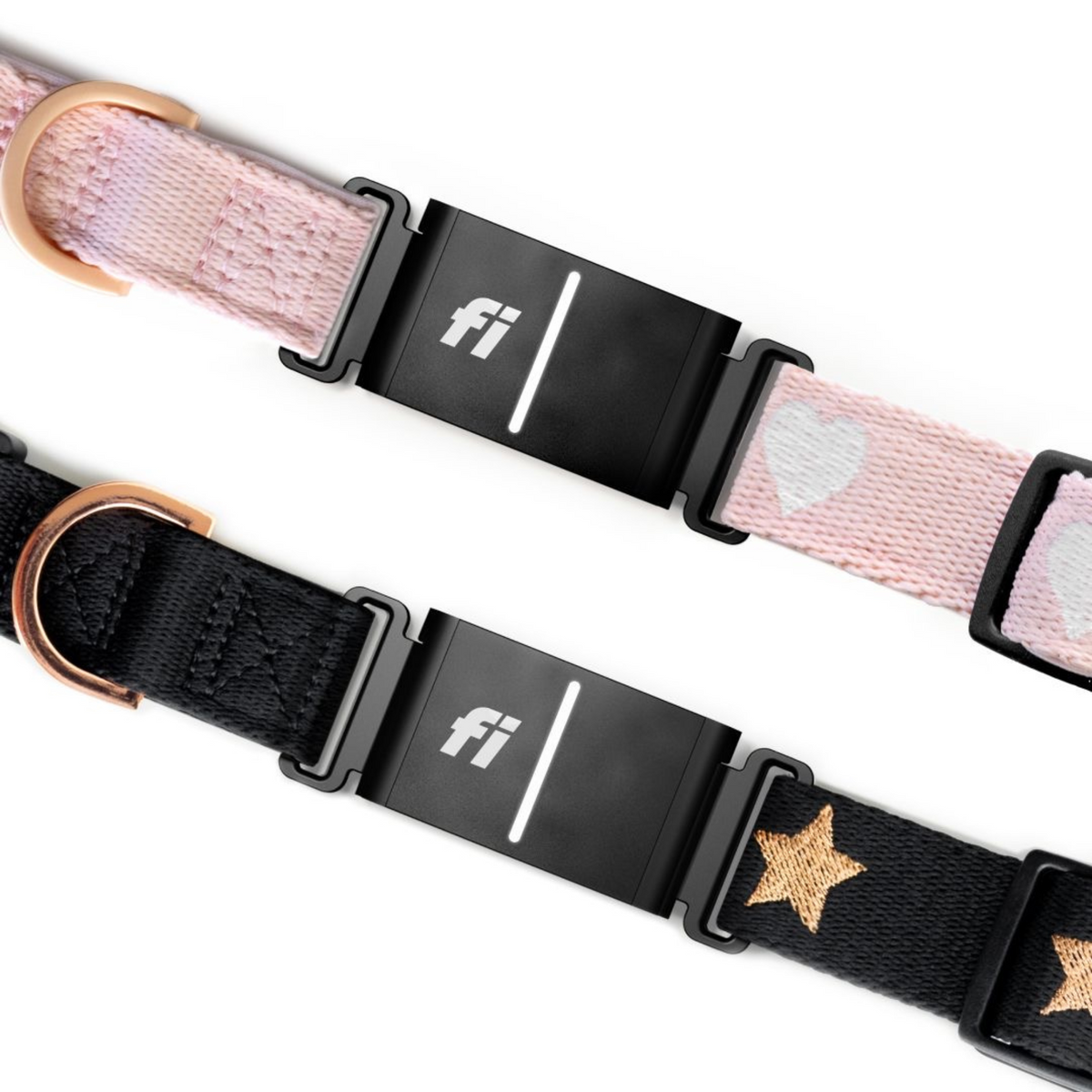Dogistry × Fi Rockstar 3+ Collar Band