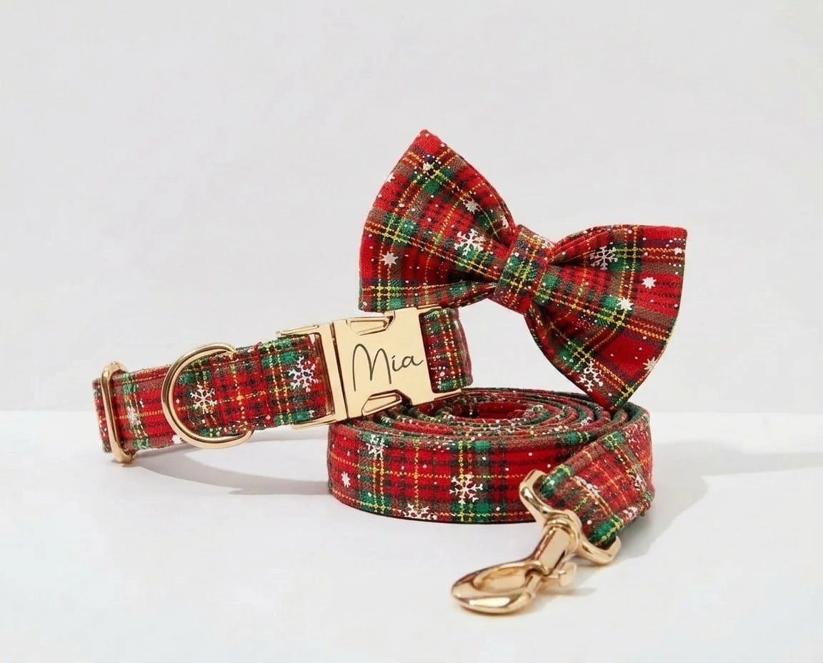 Personalized Christmas Plaid Dog Walking Set