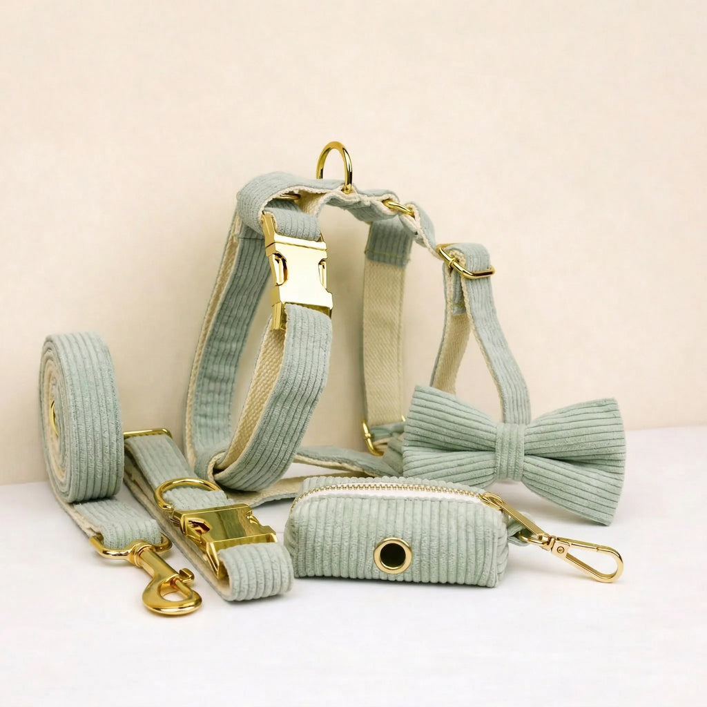 Sage Corduroy Dog Matching Set | Personalized Collar, Harness, Leash & Bowtie