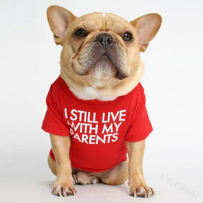 "I Still Live With My Parents" Dog T-Shirt