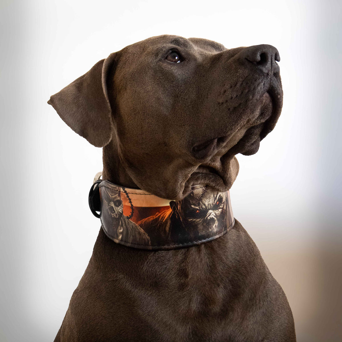 The “Scare” Collar — Limited Halloween Edition by Bestia