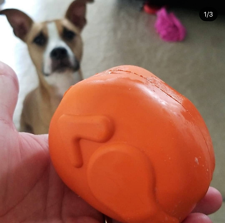 Roasted Turkey Dog Chew Toy & Treat Dispenser | SodaPup | USA Made