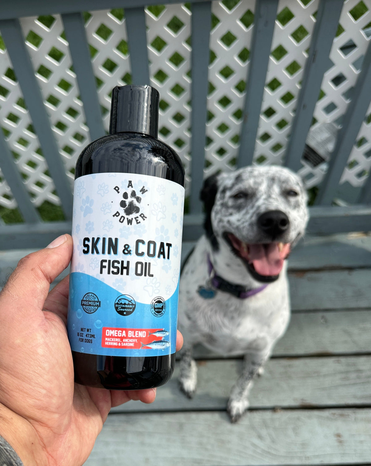 The Skin & Coat Elixir
