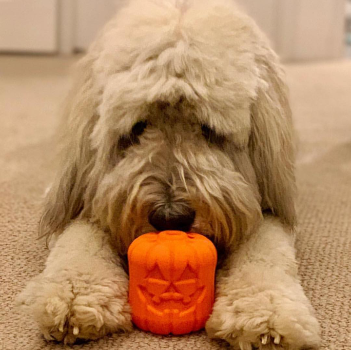 SodaPup Jack-O'-Lantern eDispenser — Halloween Chew Toy & Treat Dispenser for Large Dogs