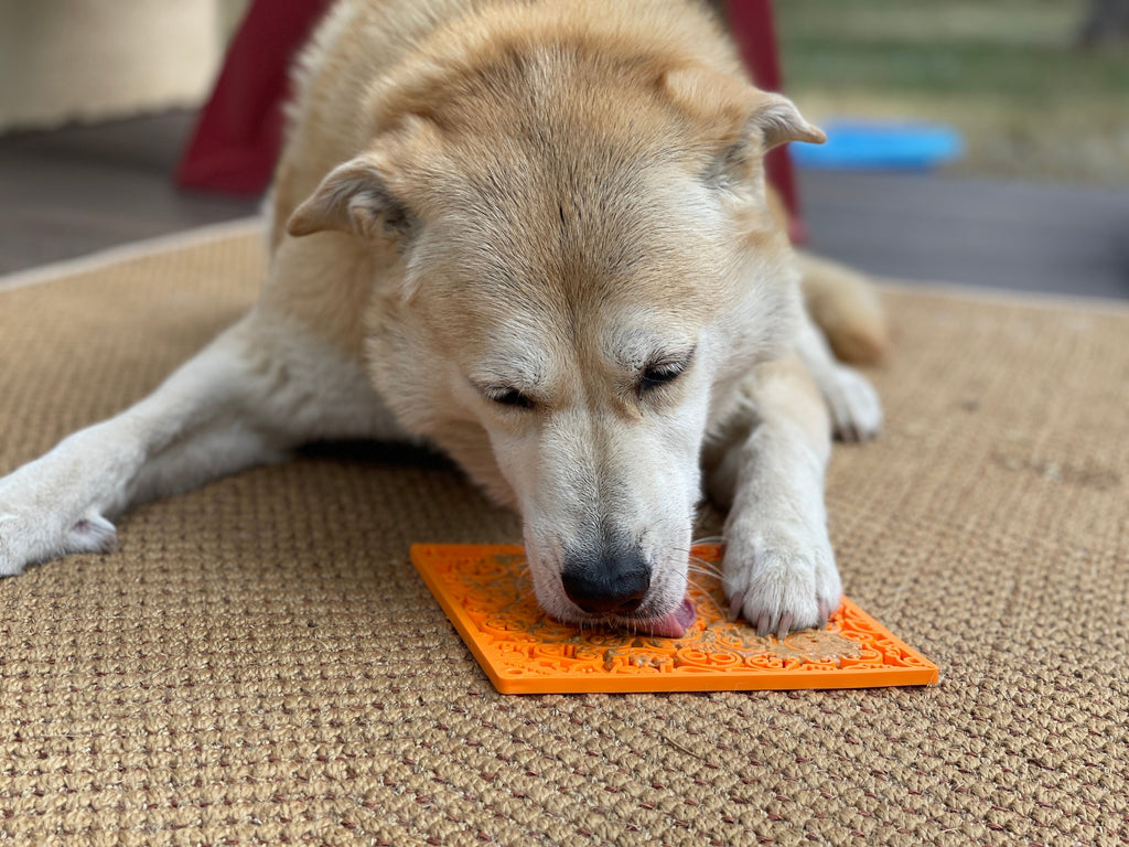 SodaPup Zombie eMat — Halloween Enrichment Lick Mat for Dogs & Cats