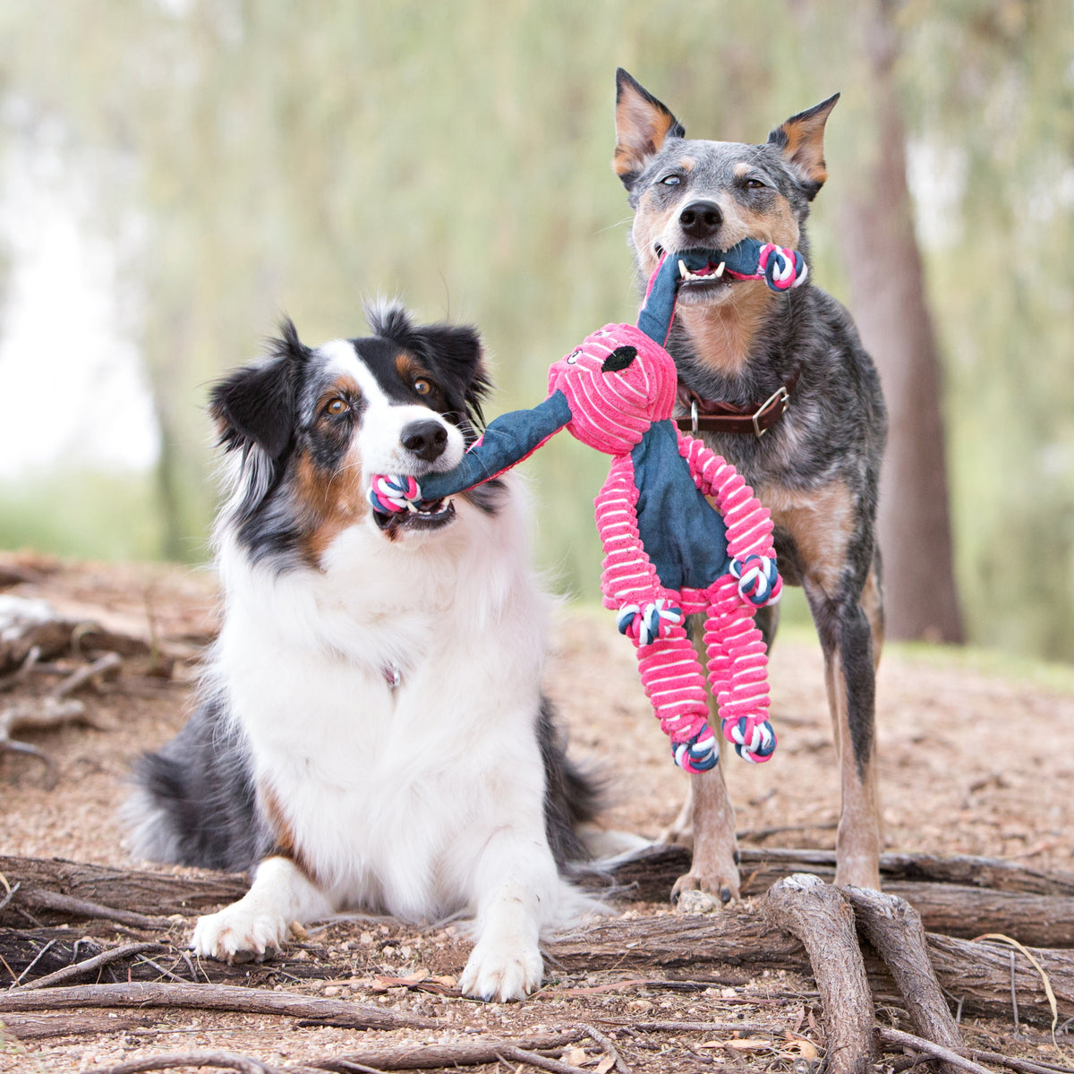 KONG Floppy Knots Bunny Dog Toy — Squeaky Plush with Knotted Rope