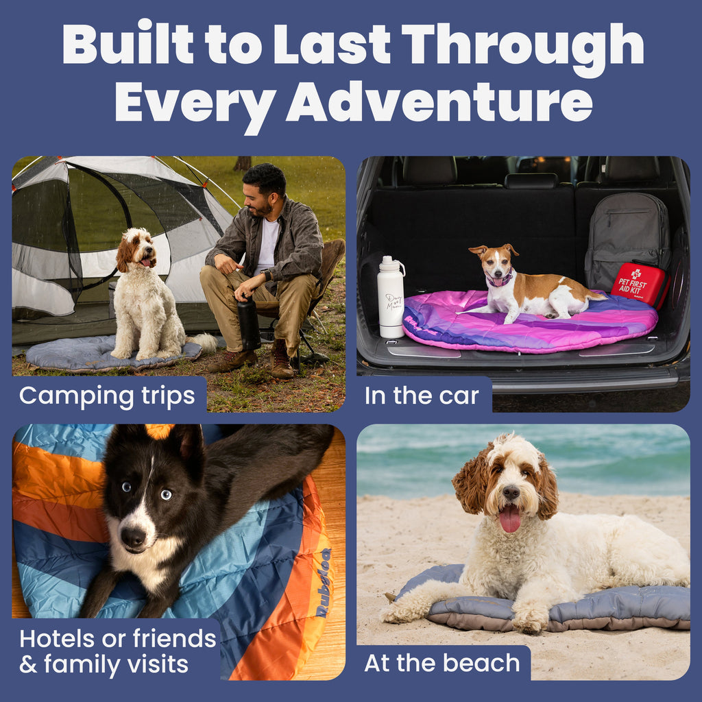 Foldable Travel Dog Bed | Packable, Water-Resistant | Small, Medium & Large