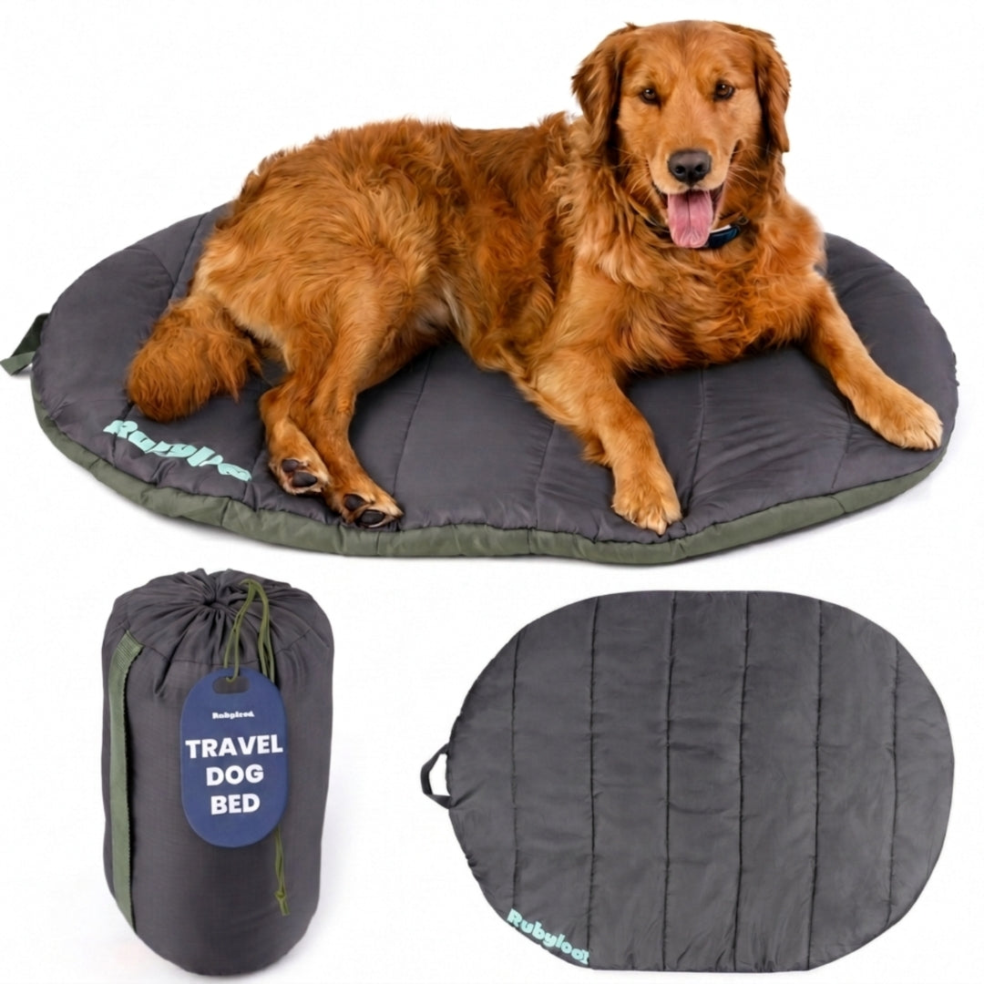 Foldable Travel Dog Bed | Packable, Water-Resistant | Small, Medium & Large