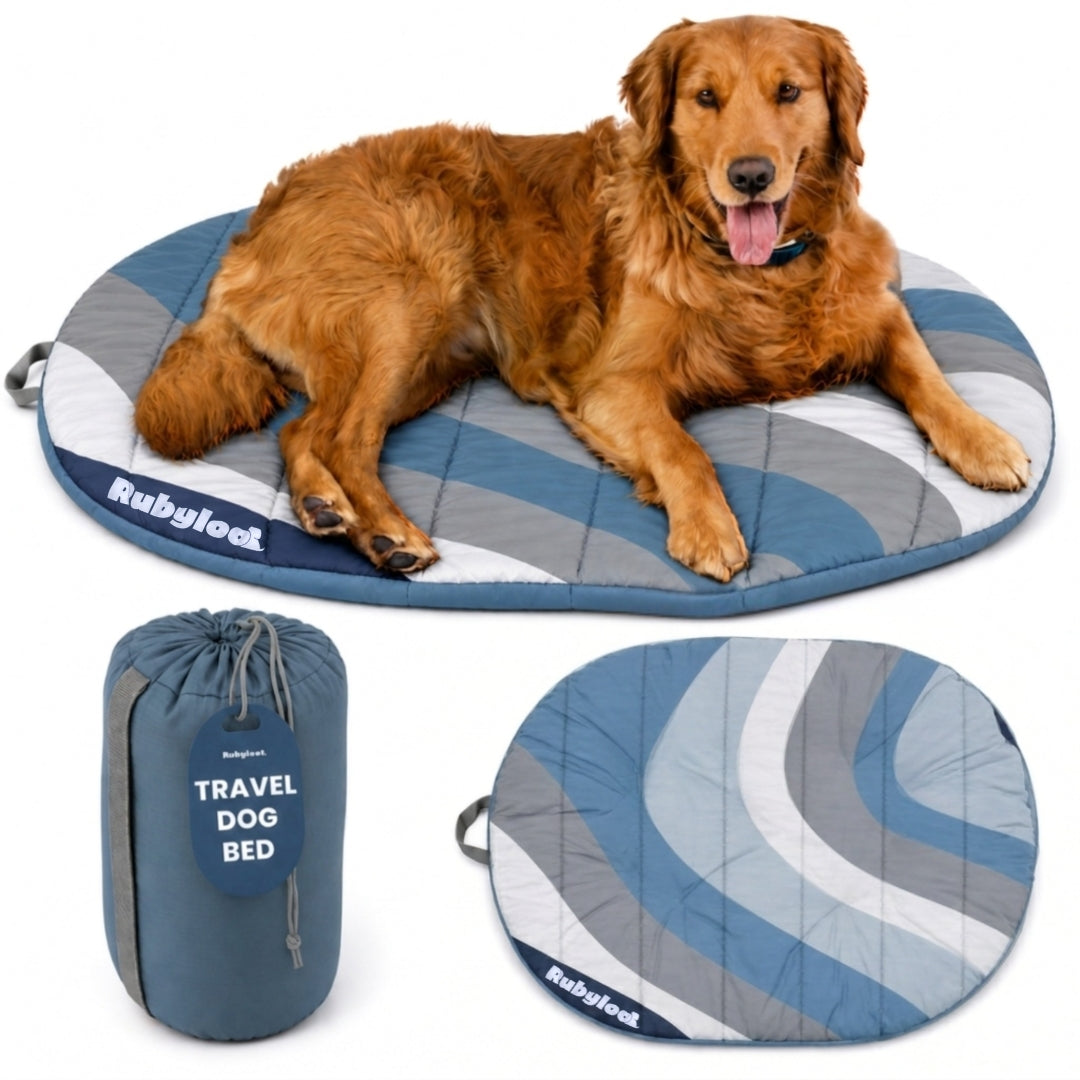 Foldable Travel Dog Bed | Packable, Water-Resistant | Small, Medium & Large