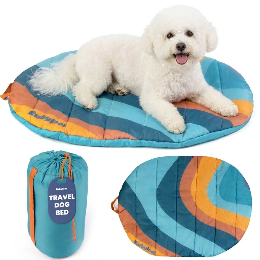 Foldable Travel Dog Bed | Packable, Water-Resistant | Small, Medium & Large