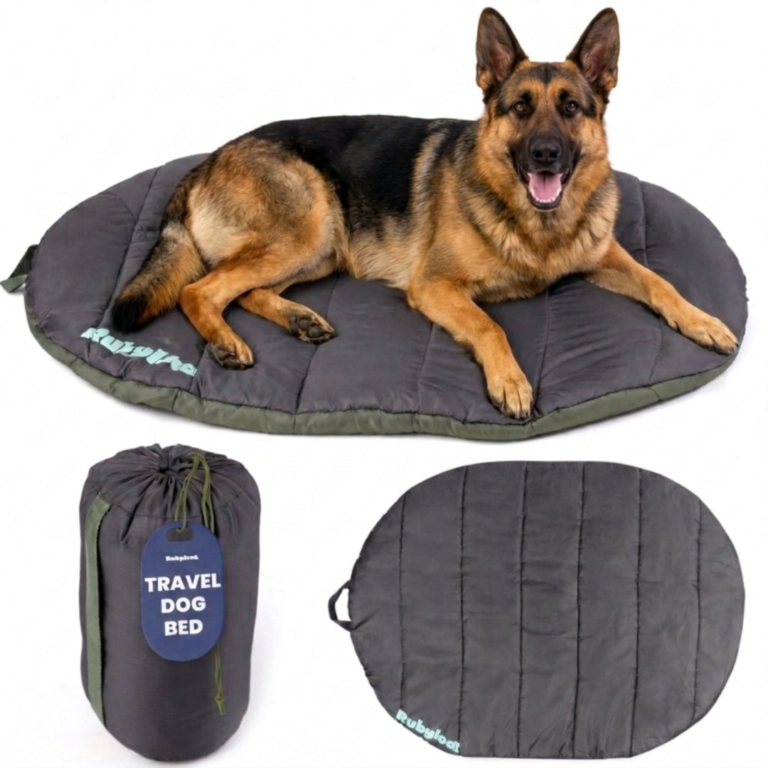 Foldable Travel Dog Bed | Packable, Water-Resistant | Small, Medium & Large
