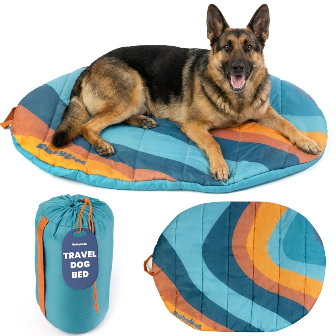 Foldable Travel Dog Bed | Packable, Water-Resistant | Small, Medium & Large