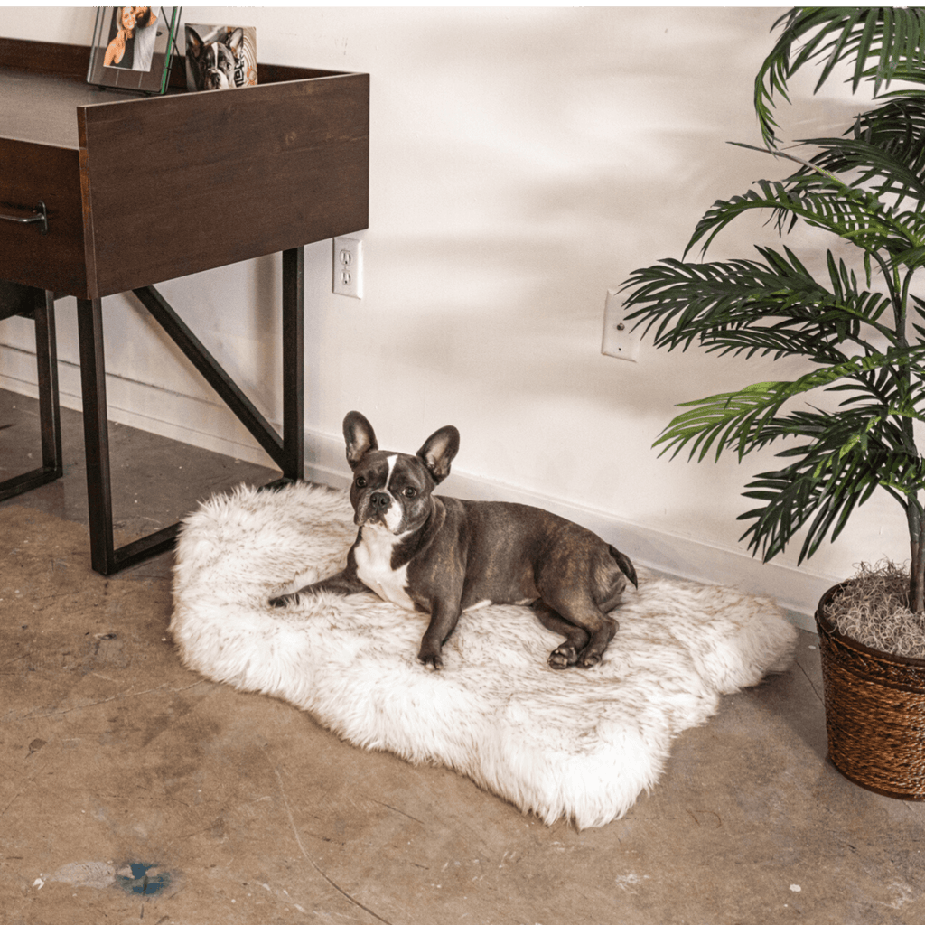 PupRug® Faux Fur Orthopedic Dog Bed | Curve White with Brown Accents