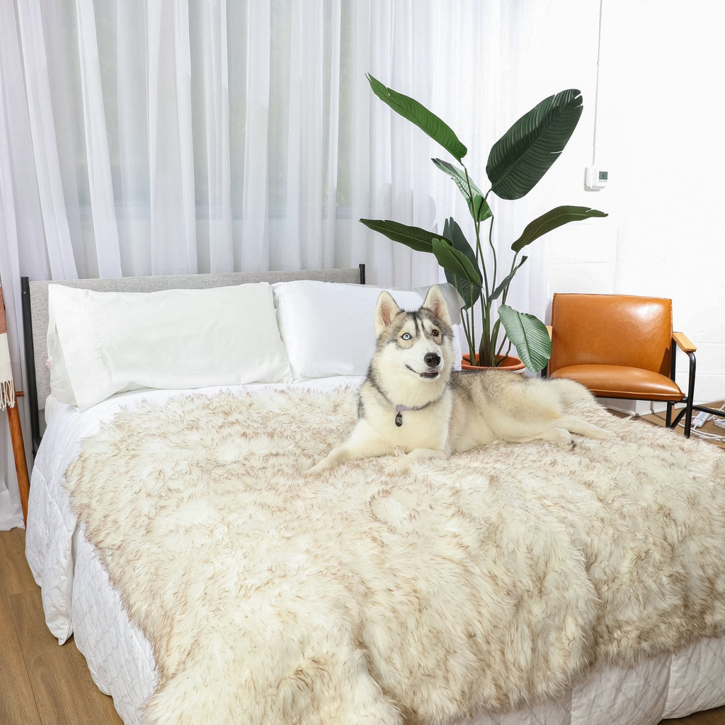 PupProtector™ Waterproof Throw Blanket | White with Brown Accents