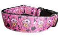 The Spellbound Collar