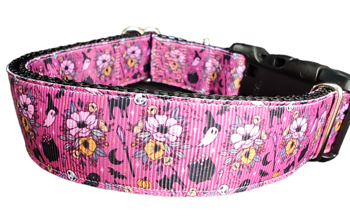 The Spellbound Collar