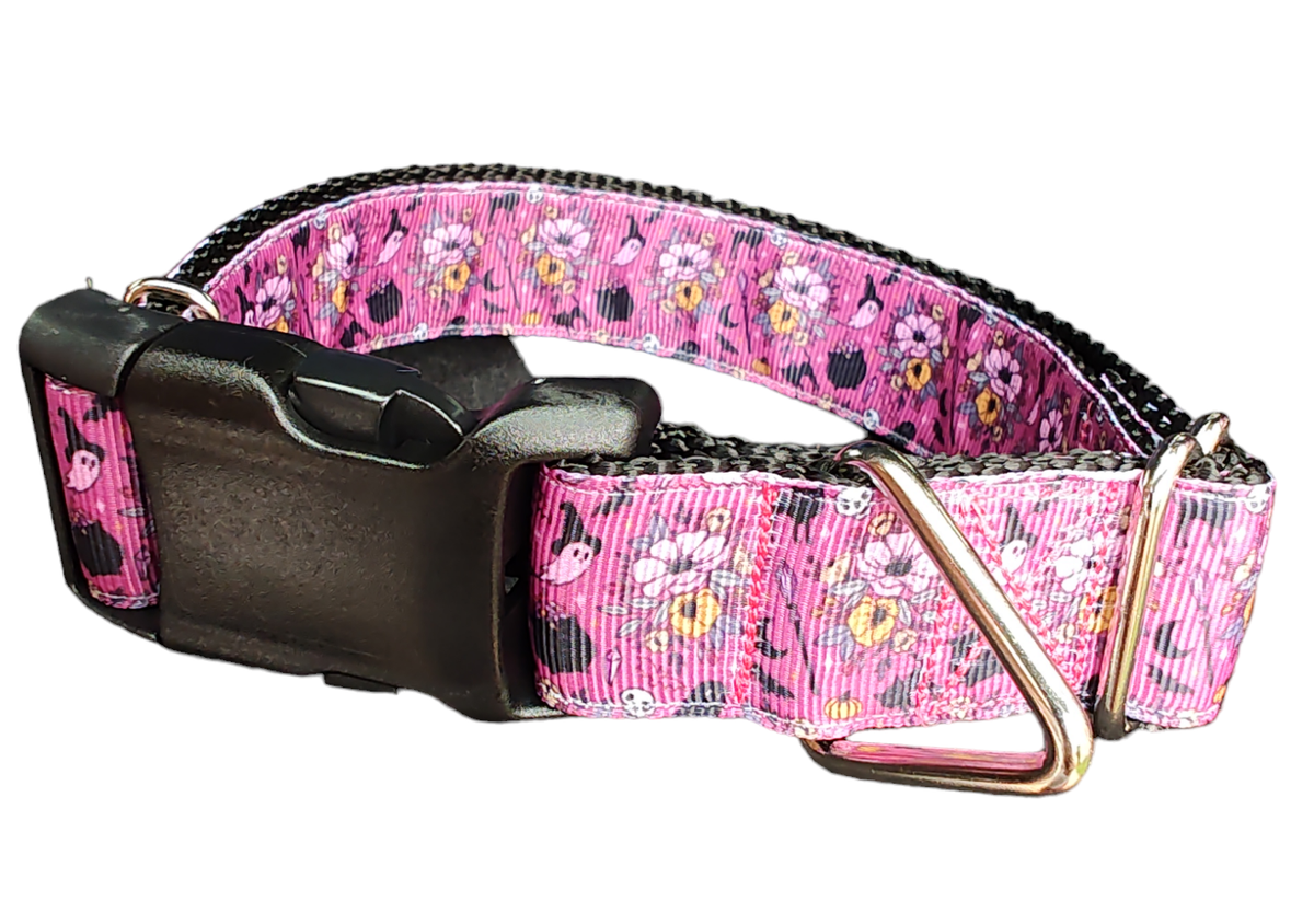 The Spellbound Collar