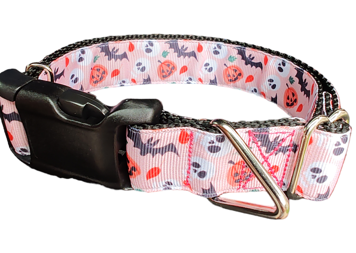 Spooky Friends Dog Collar — Halloween Autumn Print