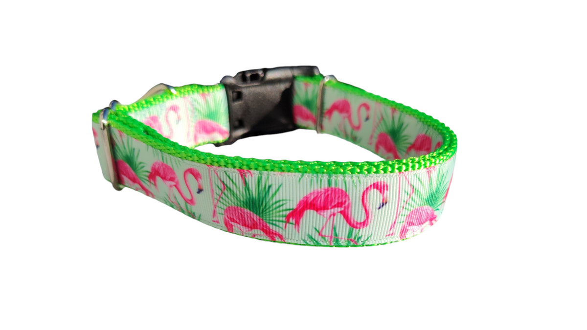 The Flamingo Mint Collar