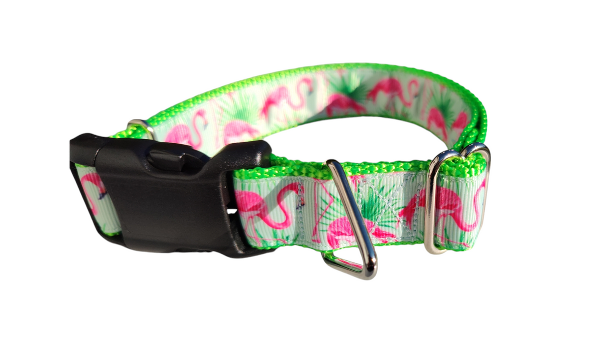 The Flamingo Mint Collar