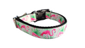 The Flamingo Mint Collar