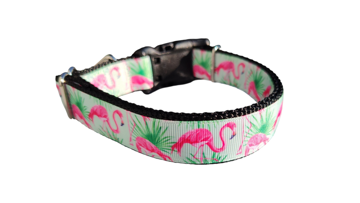 The Flamingo Mint Collar