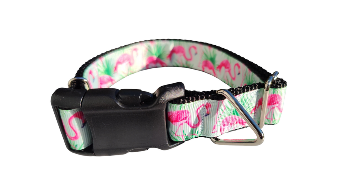 The Flamingo Mint Collar