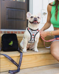 Bad to the Bone Dog Harness