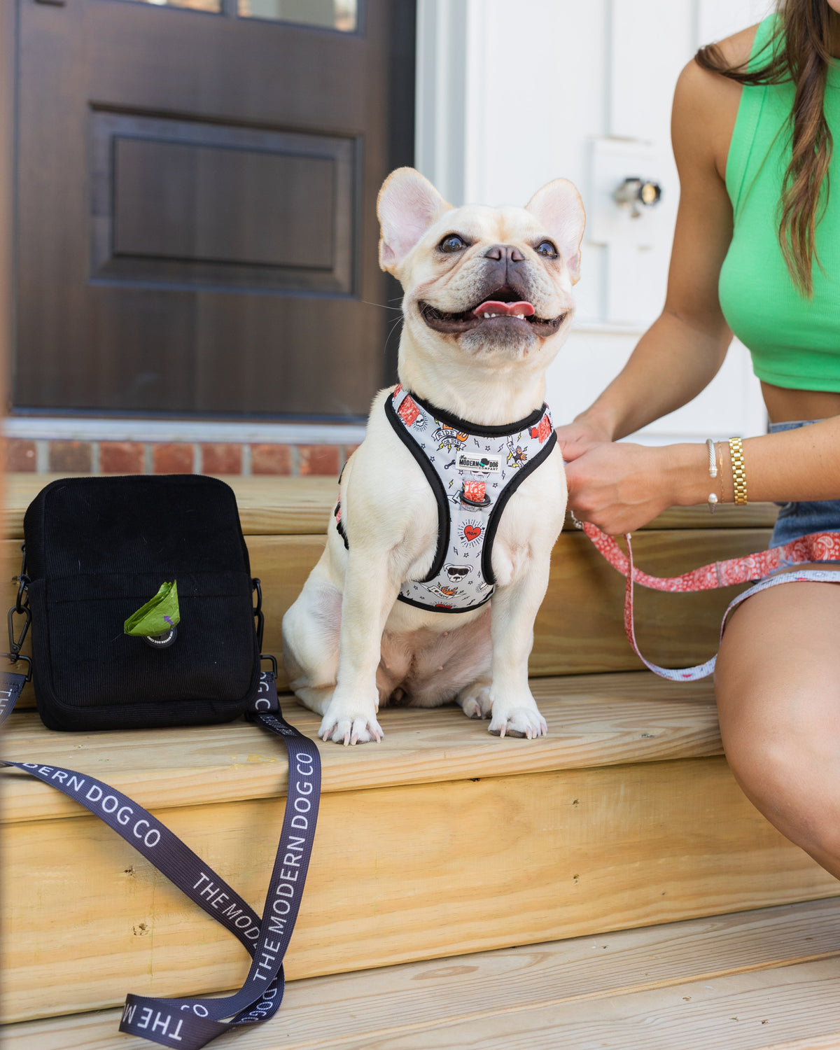 Bad to the Bone Dog Harness