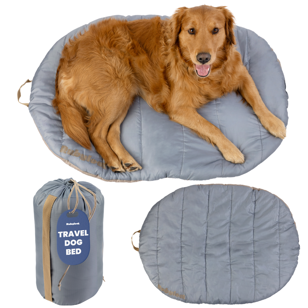 Foldable Travel Dog Bed | Packable, Water-Resistant | Small, Medium & Large