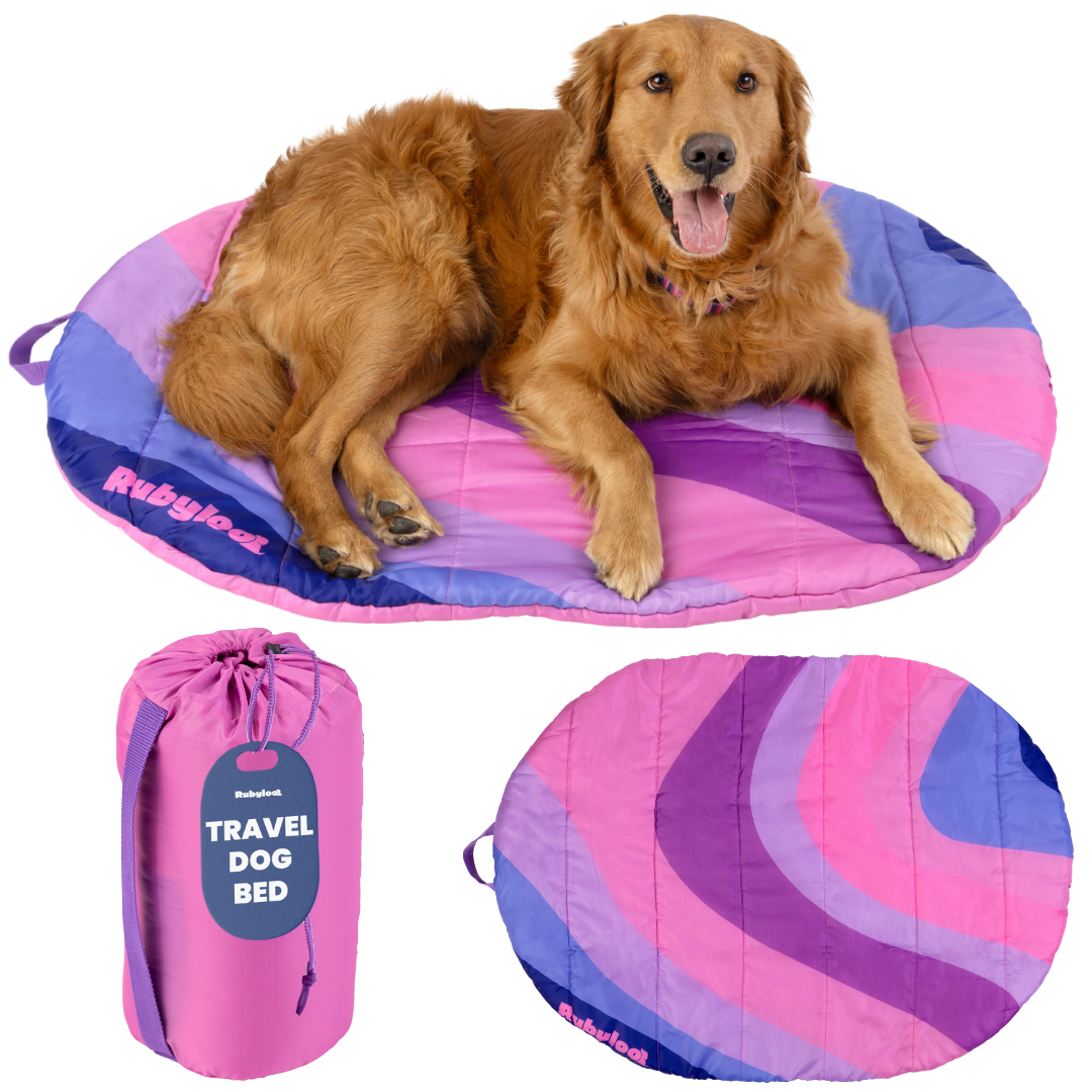 Foldable Travel Dog Bed | Packable, Water-Resistant | Small, Medium & Large