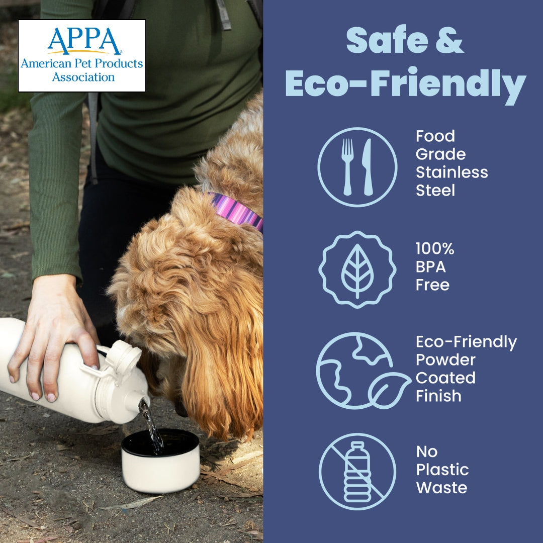 Dog + Human Water Bottle with Detachable Bowl