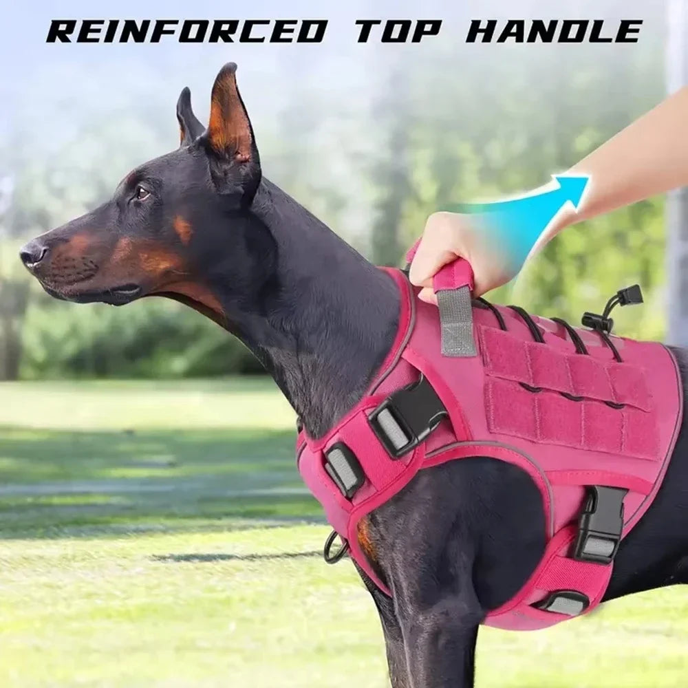 The Summit No-Pull Harness