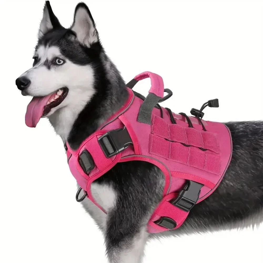 The Summit No-Pull Harness