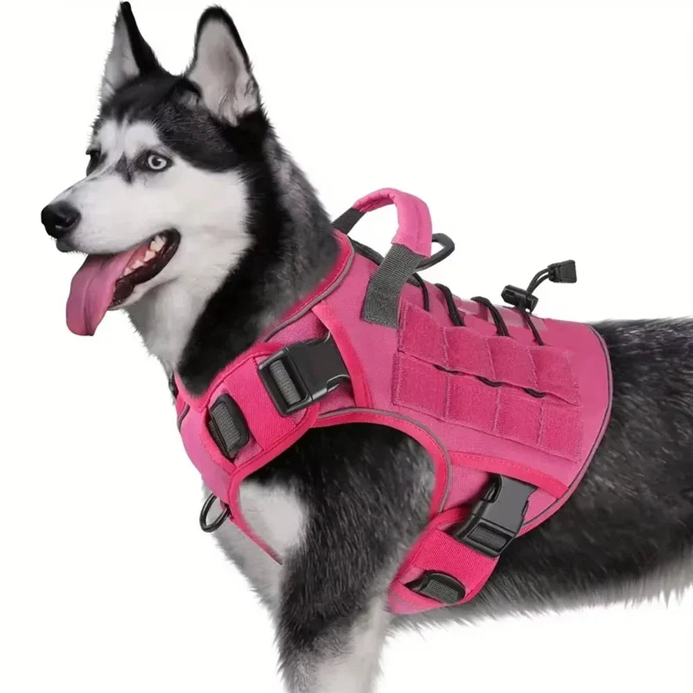 The Summit No-Pull Harness