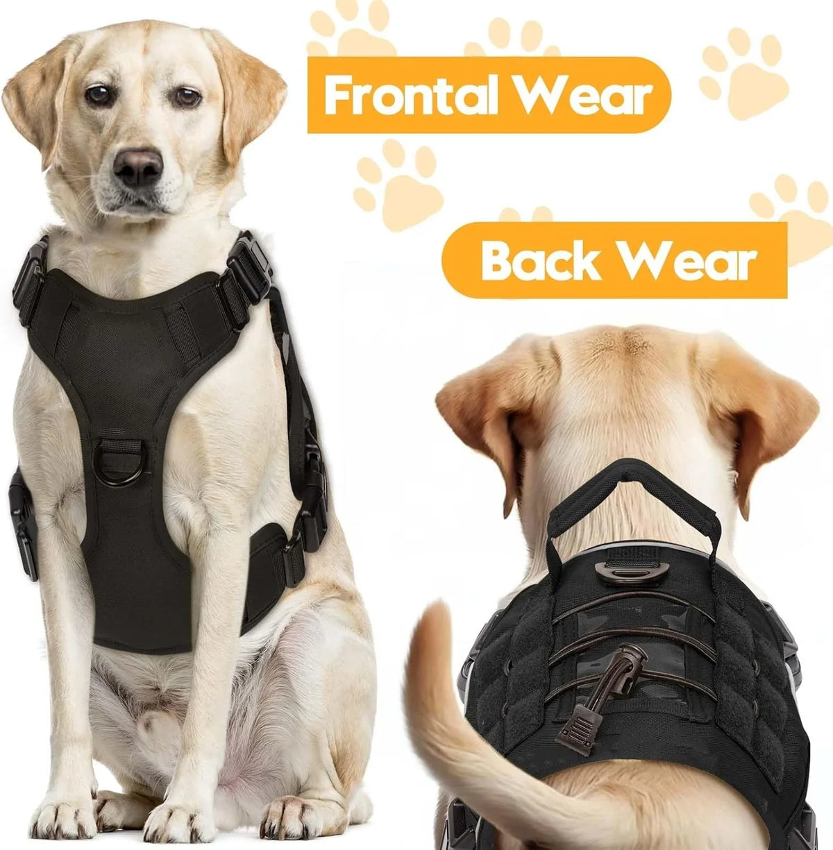 The Ranger Tactical Collar & Harness