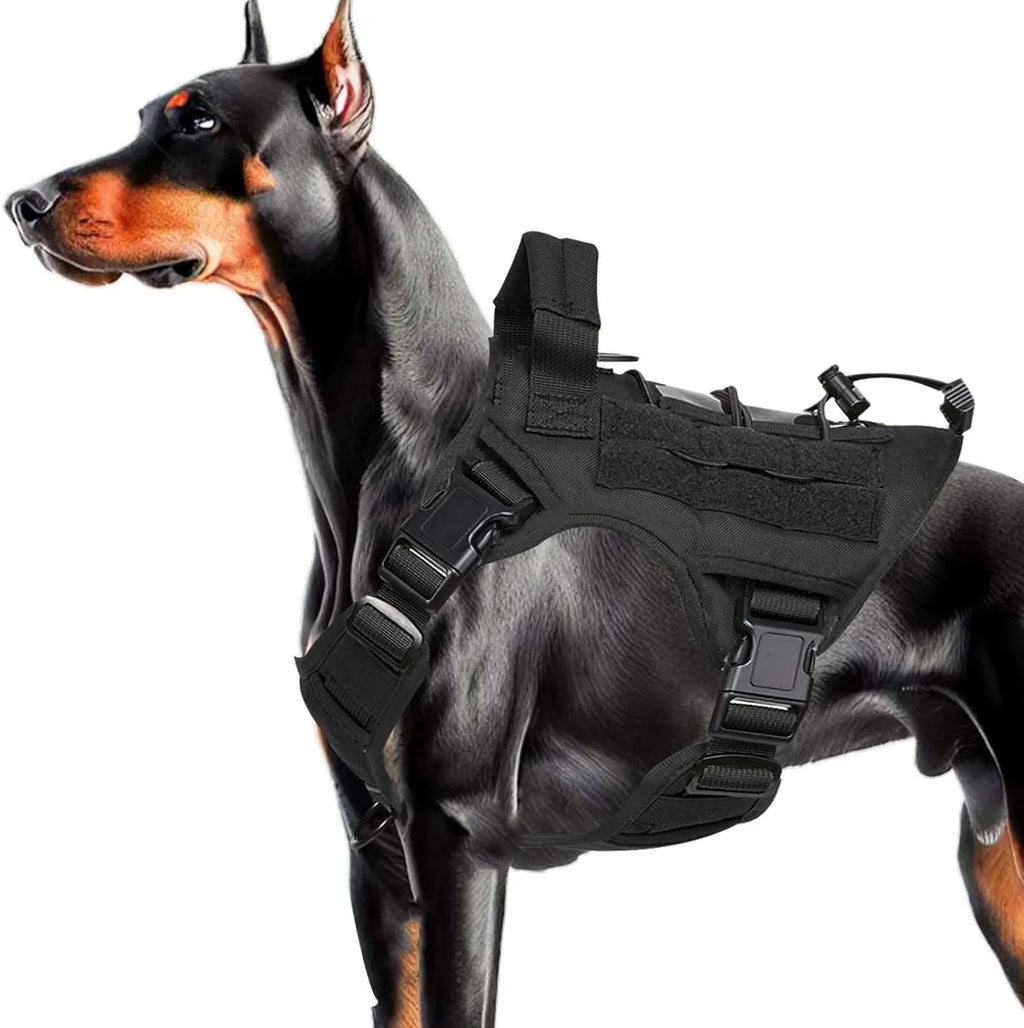 The Ranger Tactical Collar & Harness