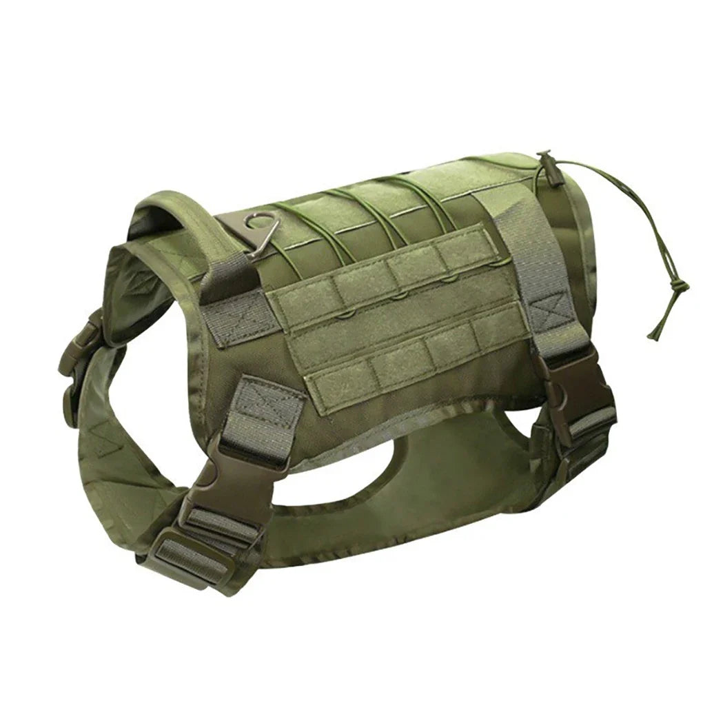 The Ranger Tactical Collar & Harness