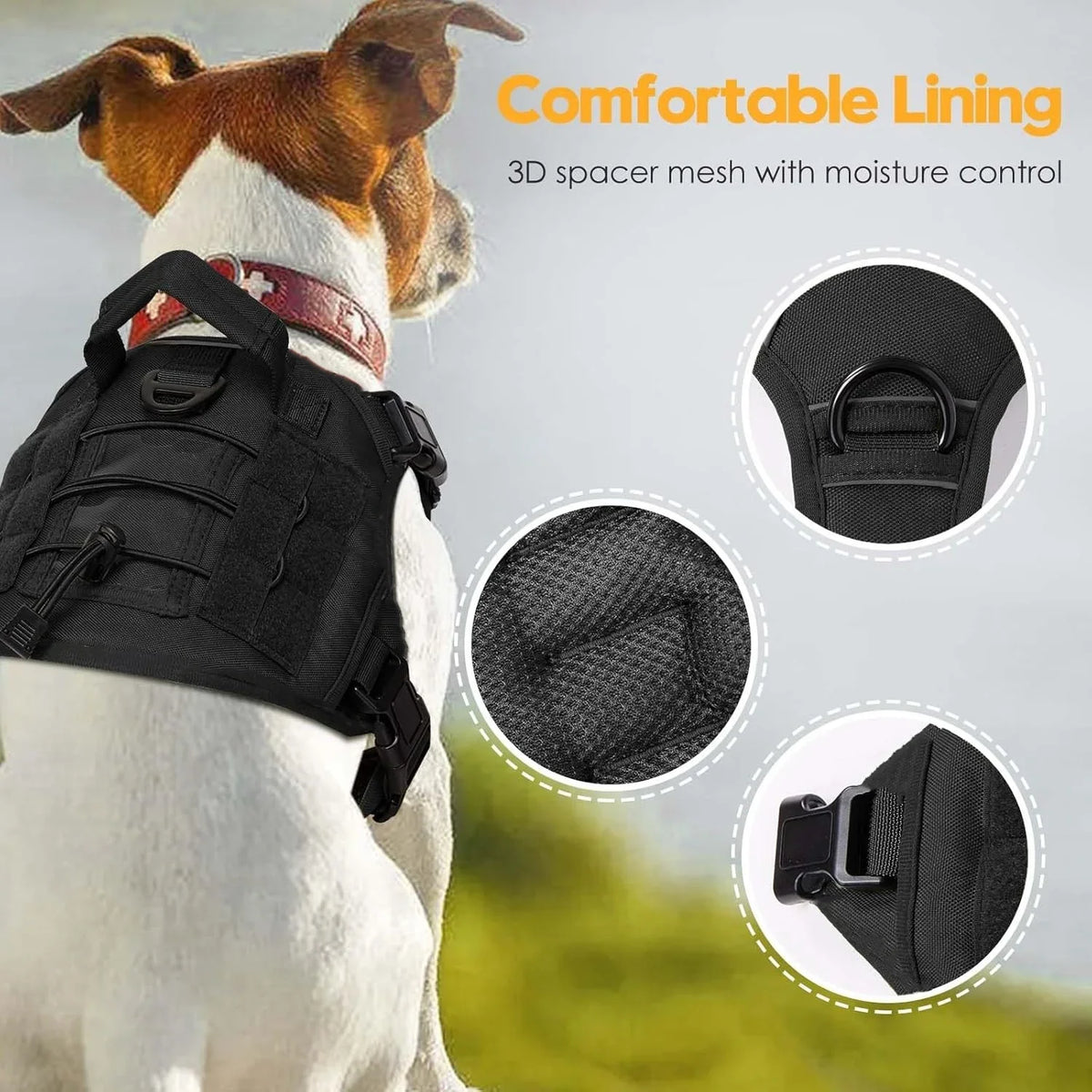 The Ranger Tactical Collar & Harness