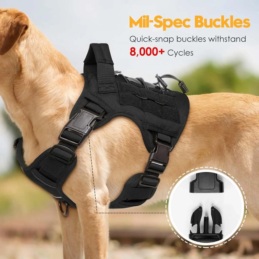 The Ranger Tactical Collar & Harness
